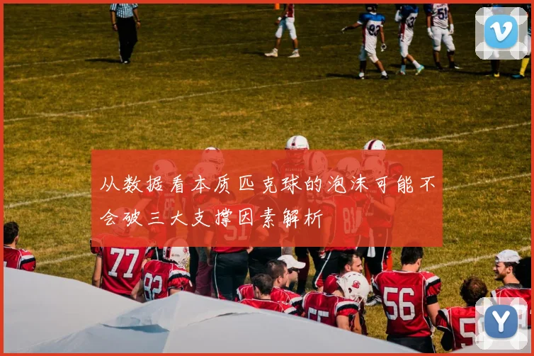 从数据看本质匹克球的泡沫可能不会破三大支撑因素解析