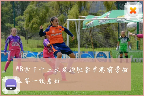 WB拿下十三大场连胜春季赛前景被业界一致看好