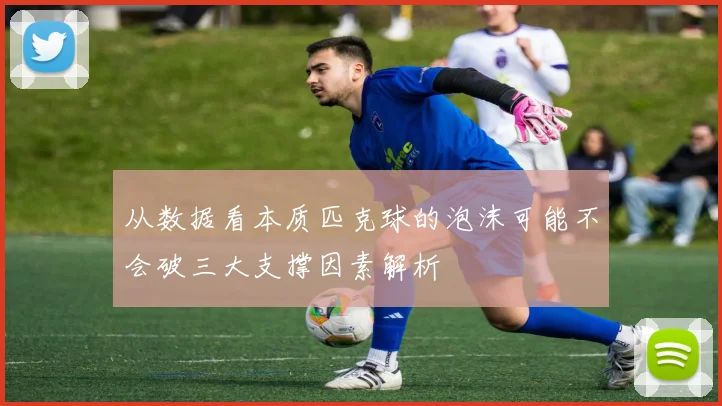 从数据看本质匹克球的泡沫可能不会破三大支撑因素解析