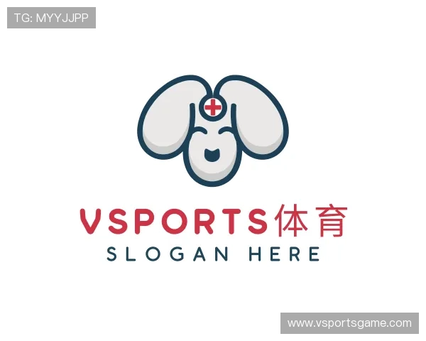 解读VSPORT平台